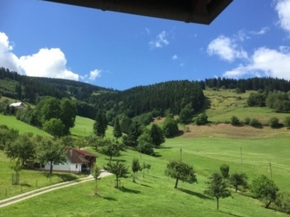 Ferienwohnungen Maierhof Oberried 奥贝里德 外观 照片
