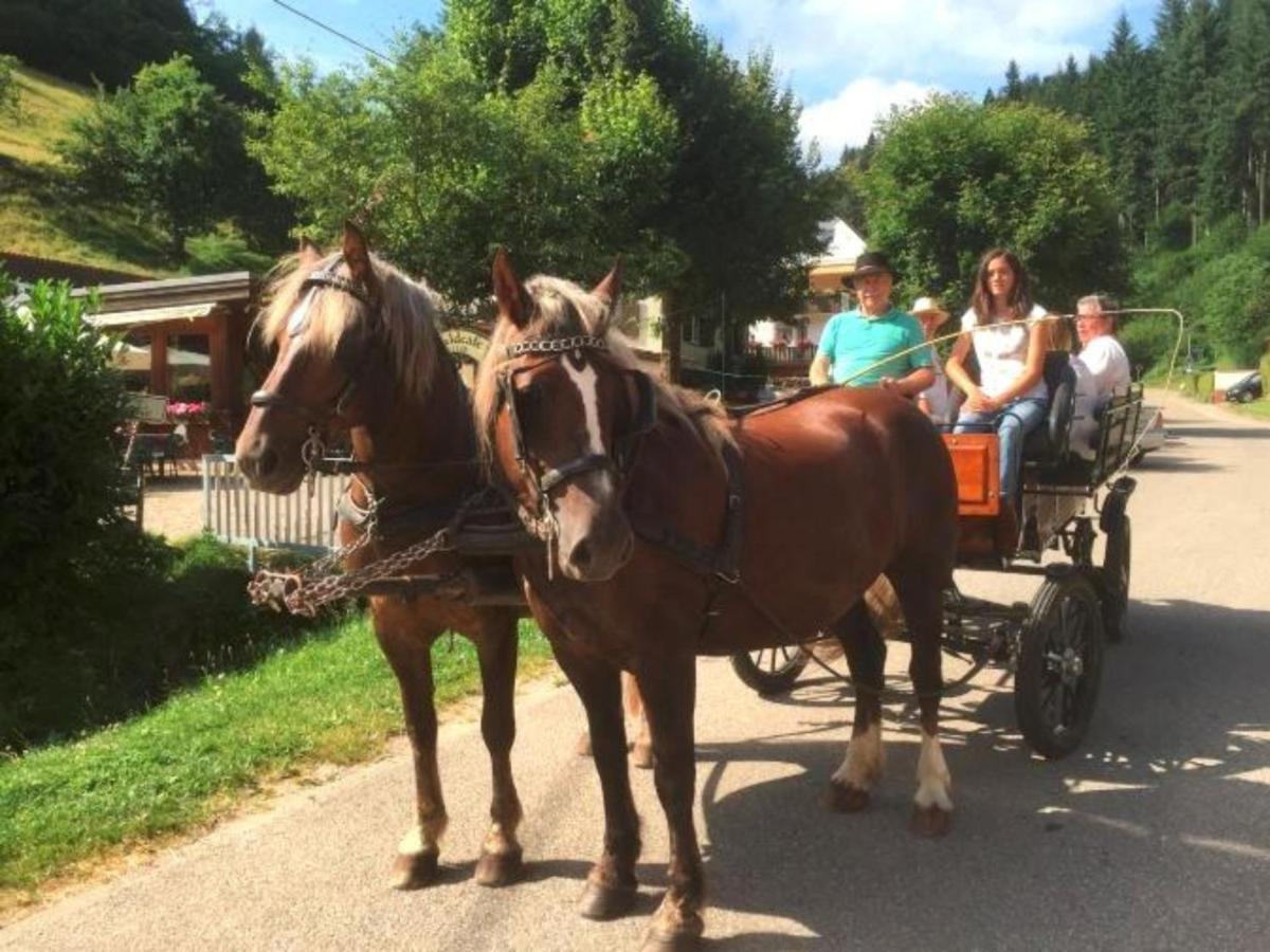 Ferienwohnungen Maierhof Oberried 奥贝里德 外观 照片
