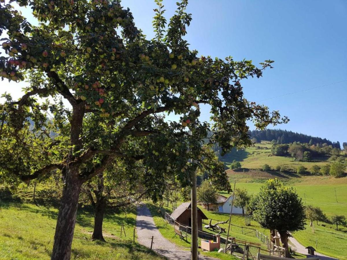 Ferienwohnungen Maierhof Oberried 奥贝里德 外观 照片