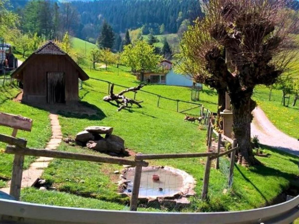 Ferienwohnungen Maierhof Oberried 奥贝里德 外观 照片