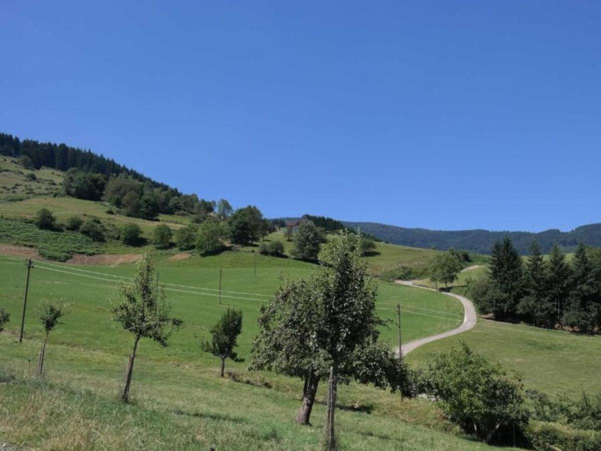 Ferienwohnungen Maierhof Oberried 奥贝里德 外观 照片