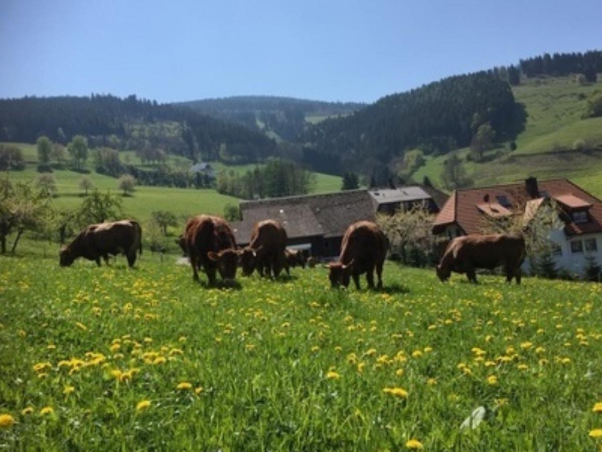Ferienwohnungen Maierhof Oberried 奥贝里德 外观 照片