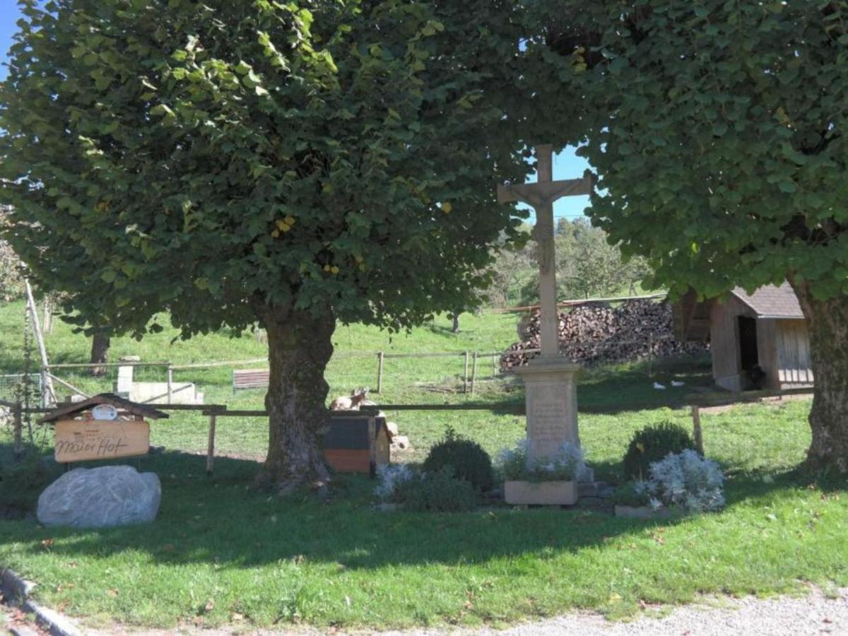Ferienwohnungen Maierhof Oberried 奥贝里德 外观 照片